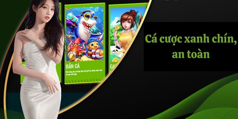 Cá cược online xanh chín, an toàn